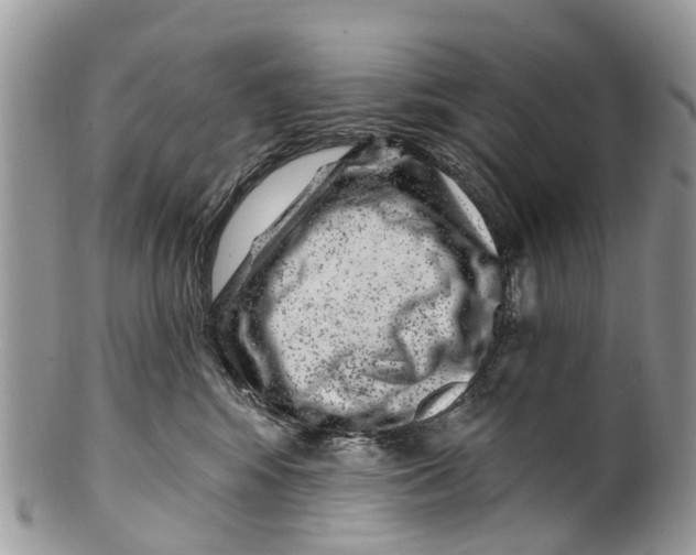 X0000099970424200806131536