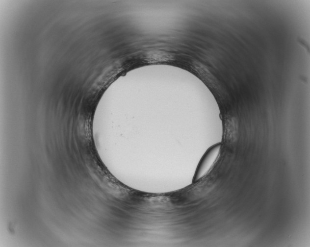 X0000099970426200806131536