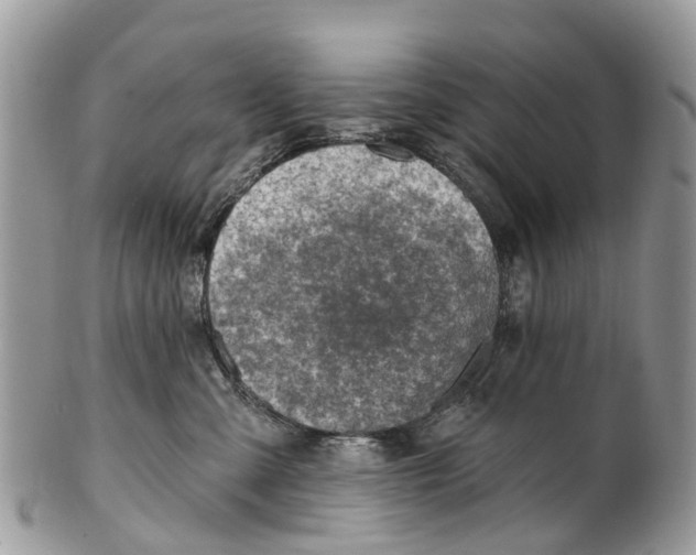 X0000099970427200806131536