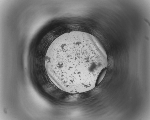 X0000099970430200806131536