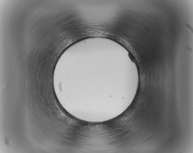 X0000099970433200806131535