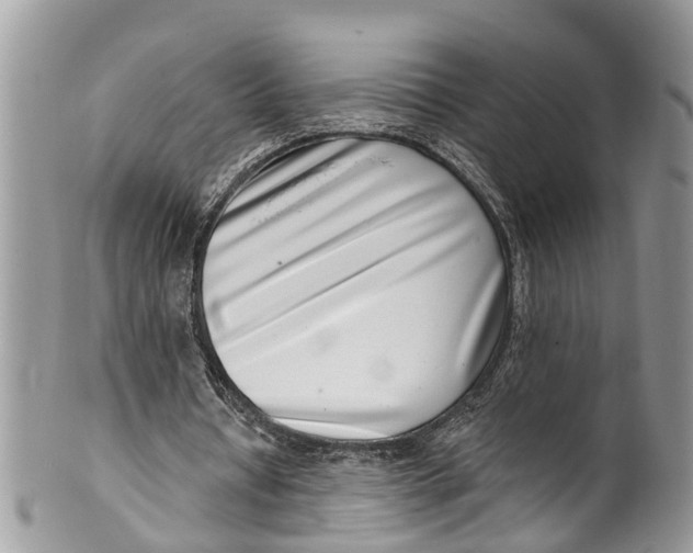 X0000099970434200806131535