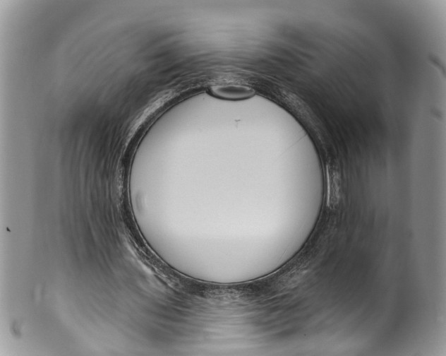 X0000099970435200806131535