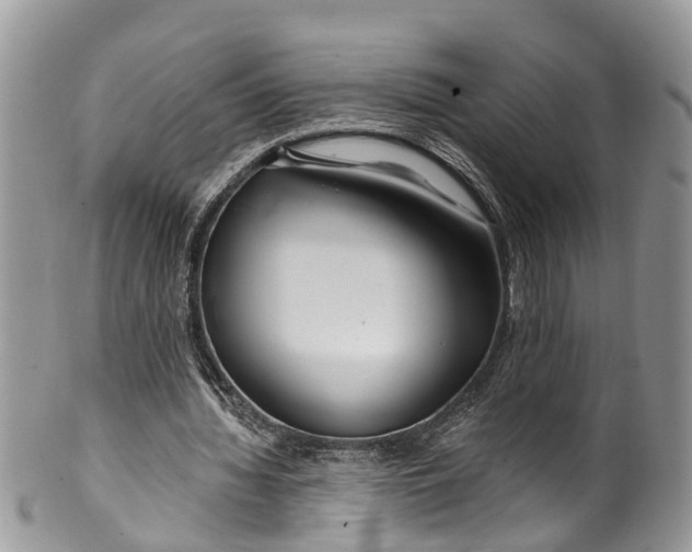 X0000099970436200806131535