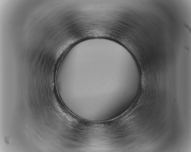 X0000099970438200806131535