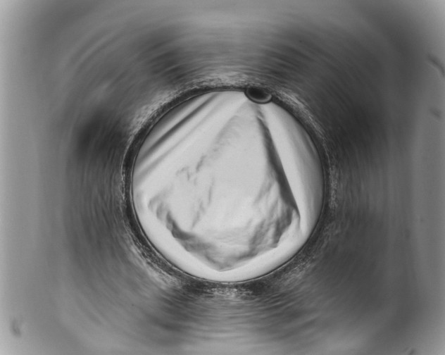 X0000099970439200806131535