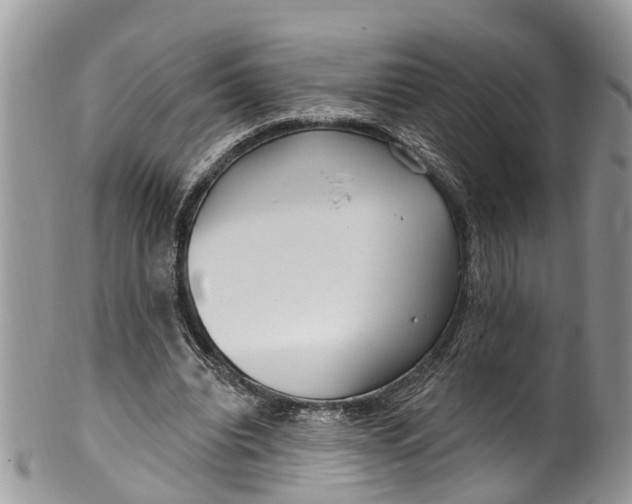 X0000099970440200806131535