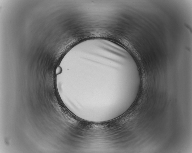 X0000099970442200806131535