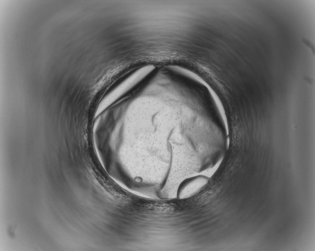 X0000099970443200806131535