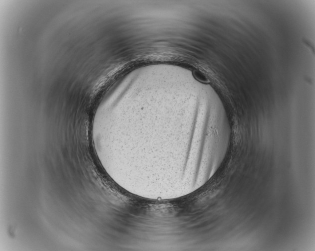 X0000099970446200806131535