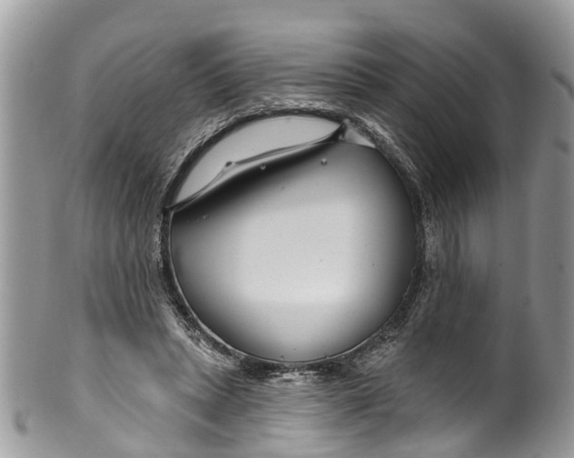 X0000099970447200806131535