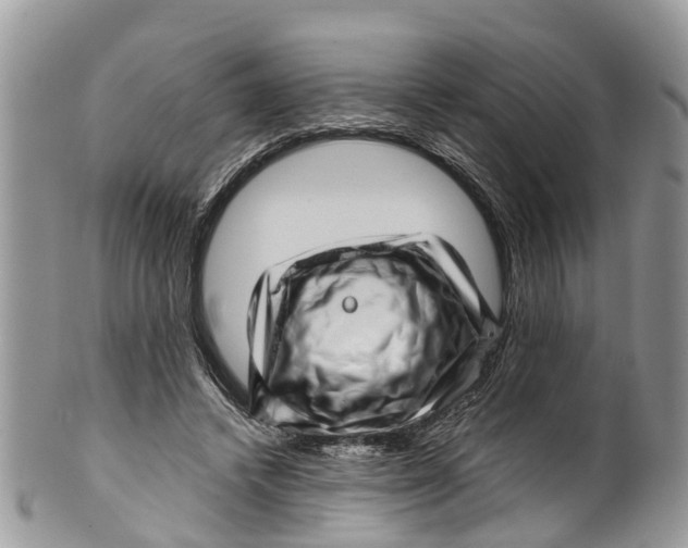 X0000099970448200806131536