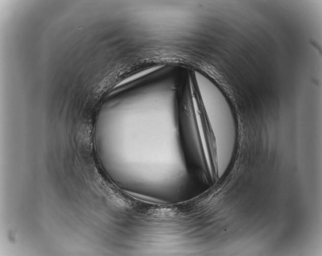 X0000099970449200806131536