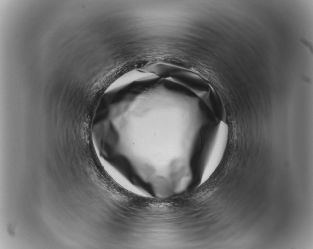 X0000099970450200806131536