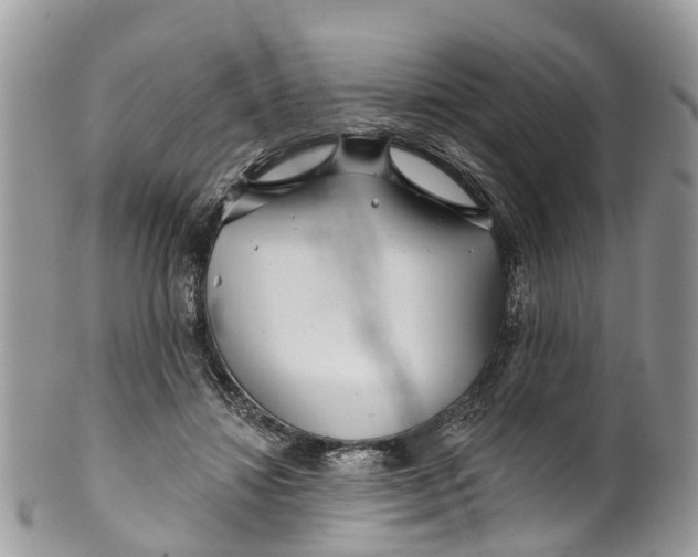 X0000099970452200806131536