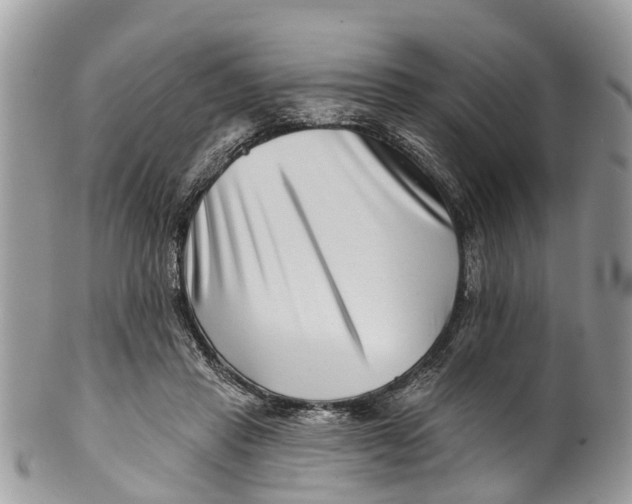 X0000099970453200806131536