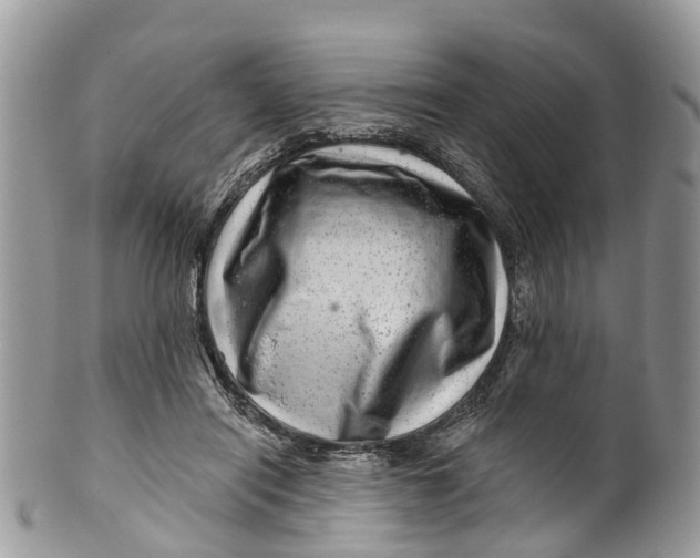 X0000099970454200806131536