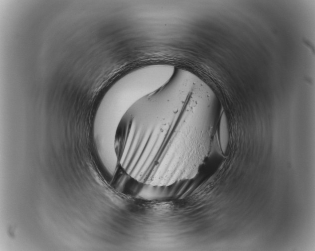 X0000099970456200806131536