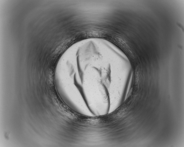 X0000099970457200806131536