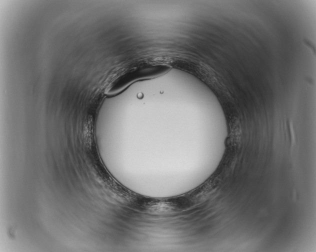 X0000099970460200806131536