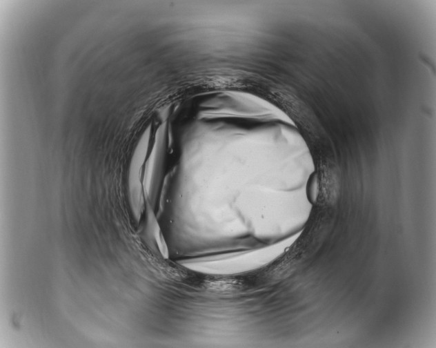 X0000099970461200806131536