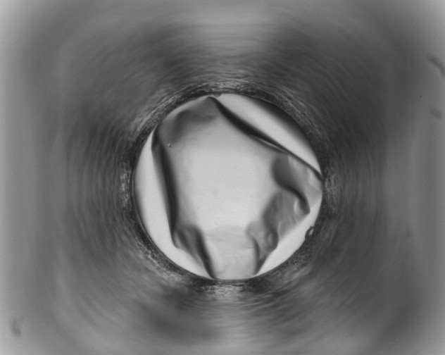 X0000099970462200806131536