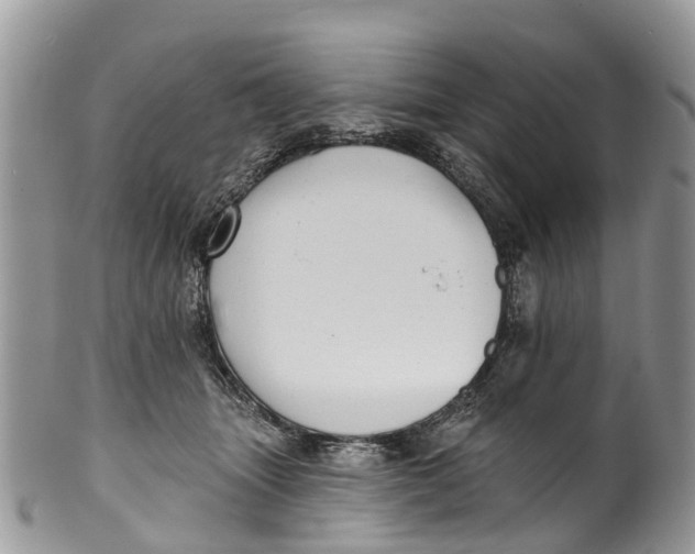 X0000099970463200806131536