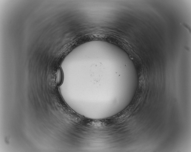 X0000099970464200806131536