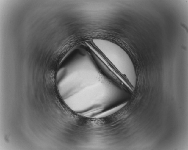 X0000099970466200806131536