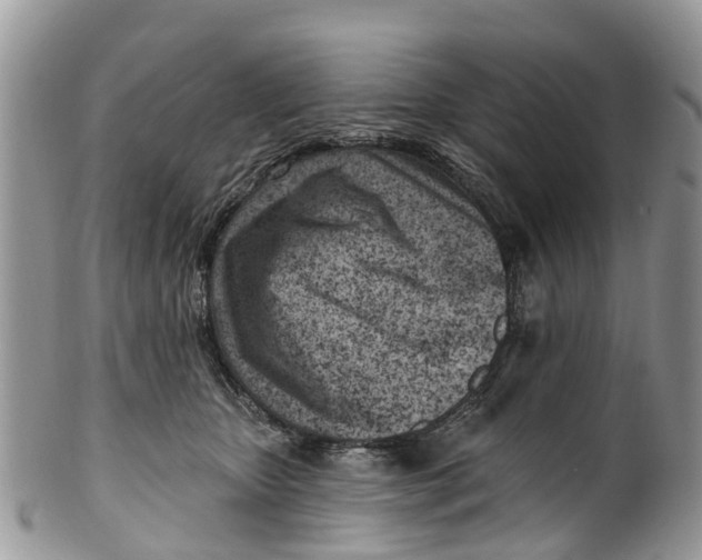 X0000099970467200806131536