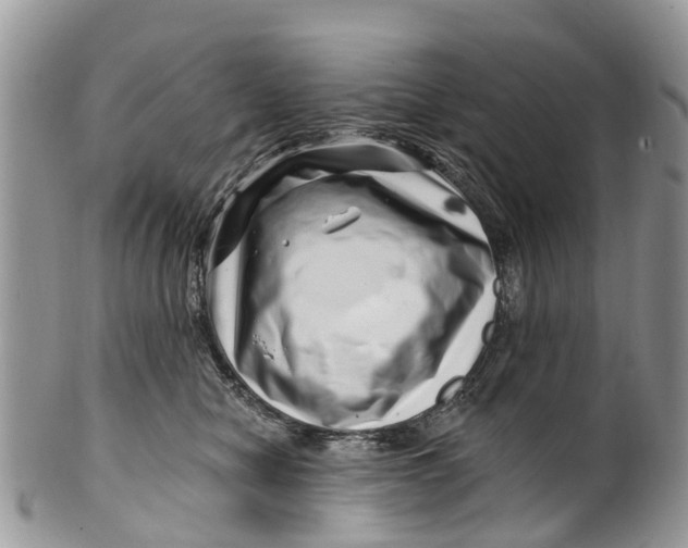 X0000099970470200806131536