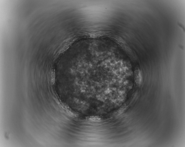 X0000099970471200806131536