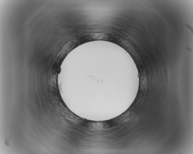 X0000099970473200806131536