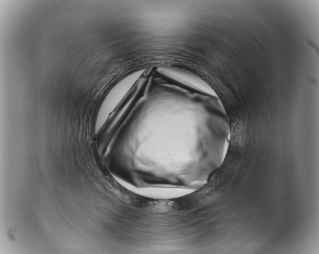 X0000099970474200806131536