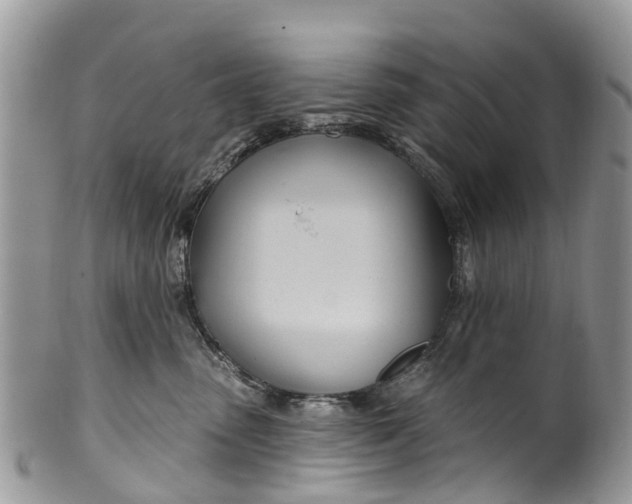 X0000099970475200806131536