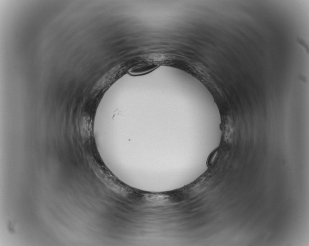 X0000099970476200806131536