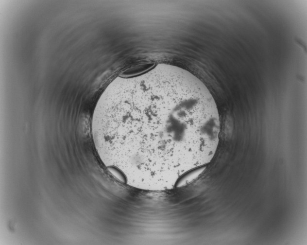 X0000099970478200806131536