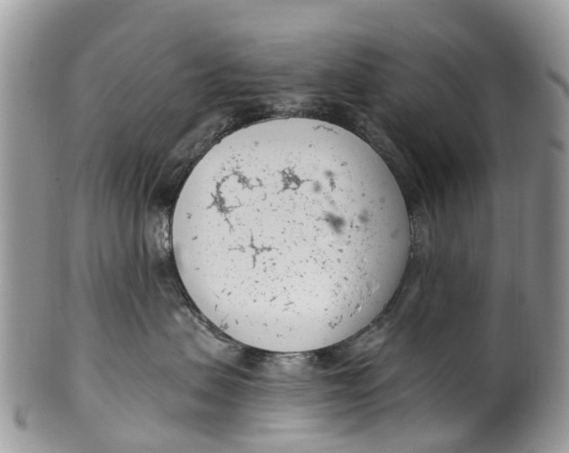 X0000099970479200806131536