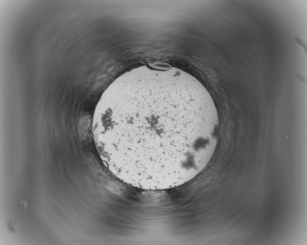 X0000099970480200806131536