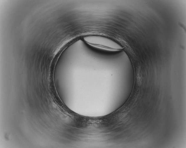 X0000099970484200806131535