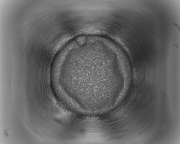 X0000099970487200806131535