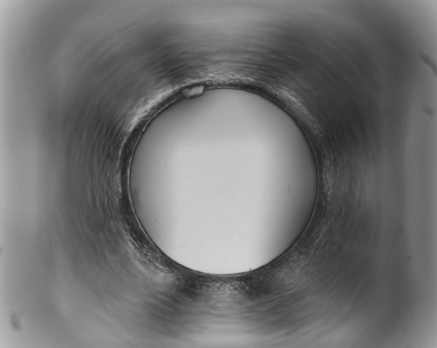 X0000099970488200806131535