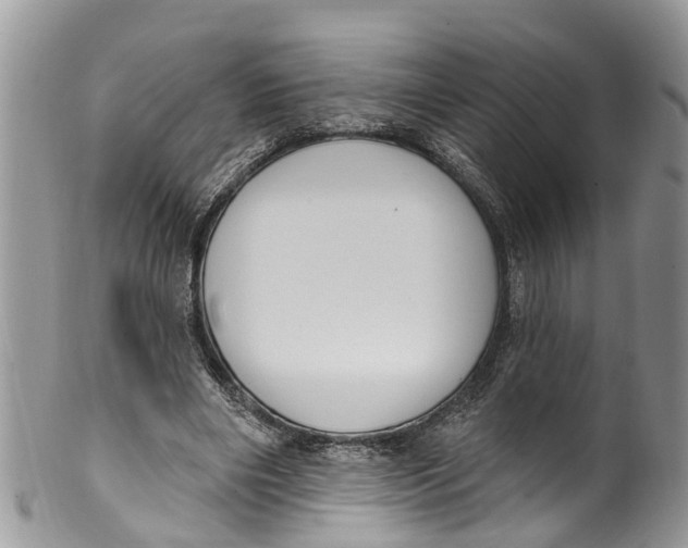 X0000099970490200806131535