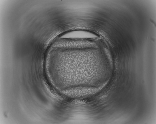 X0000099970491200806131535