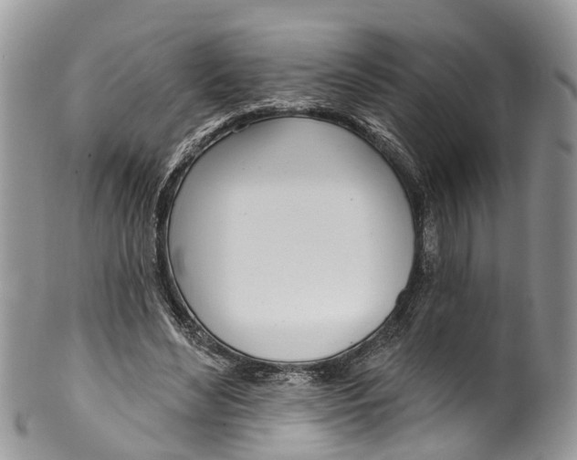 X0000099970492200806131535