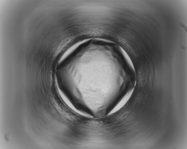 X0000099970494200806131535