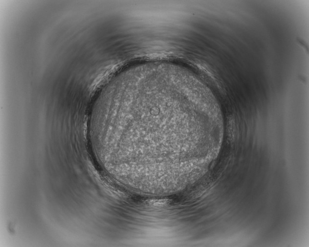 X0000099970495200806131535