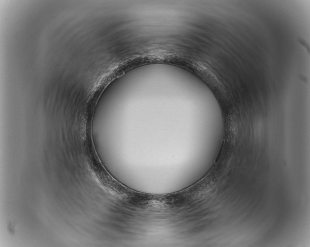 X0000099970496200806131535