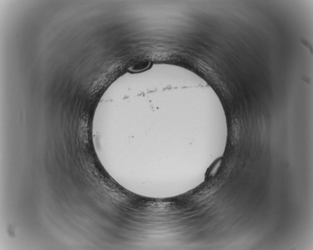 X0000099970497200806131535