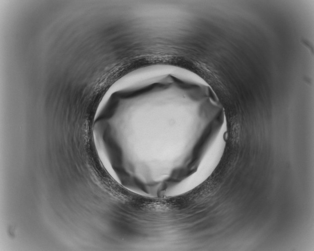 X0000099970498200806131535